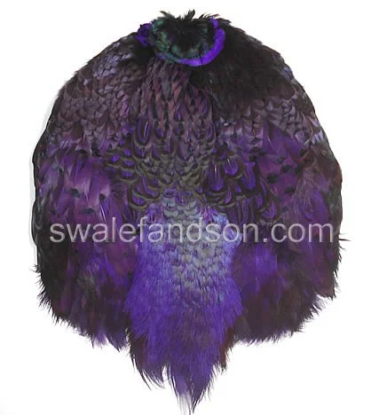 Ringneck Pheasant Pelts, Dyed Purple