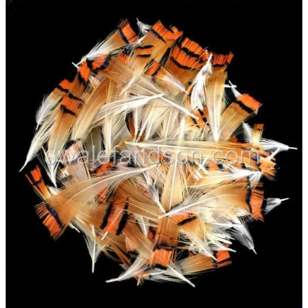 Golden Pheasant Tippet Sections, Loose Feathers