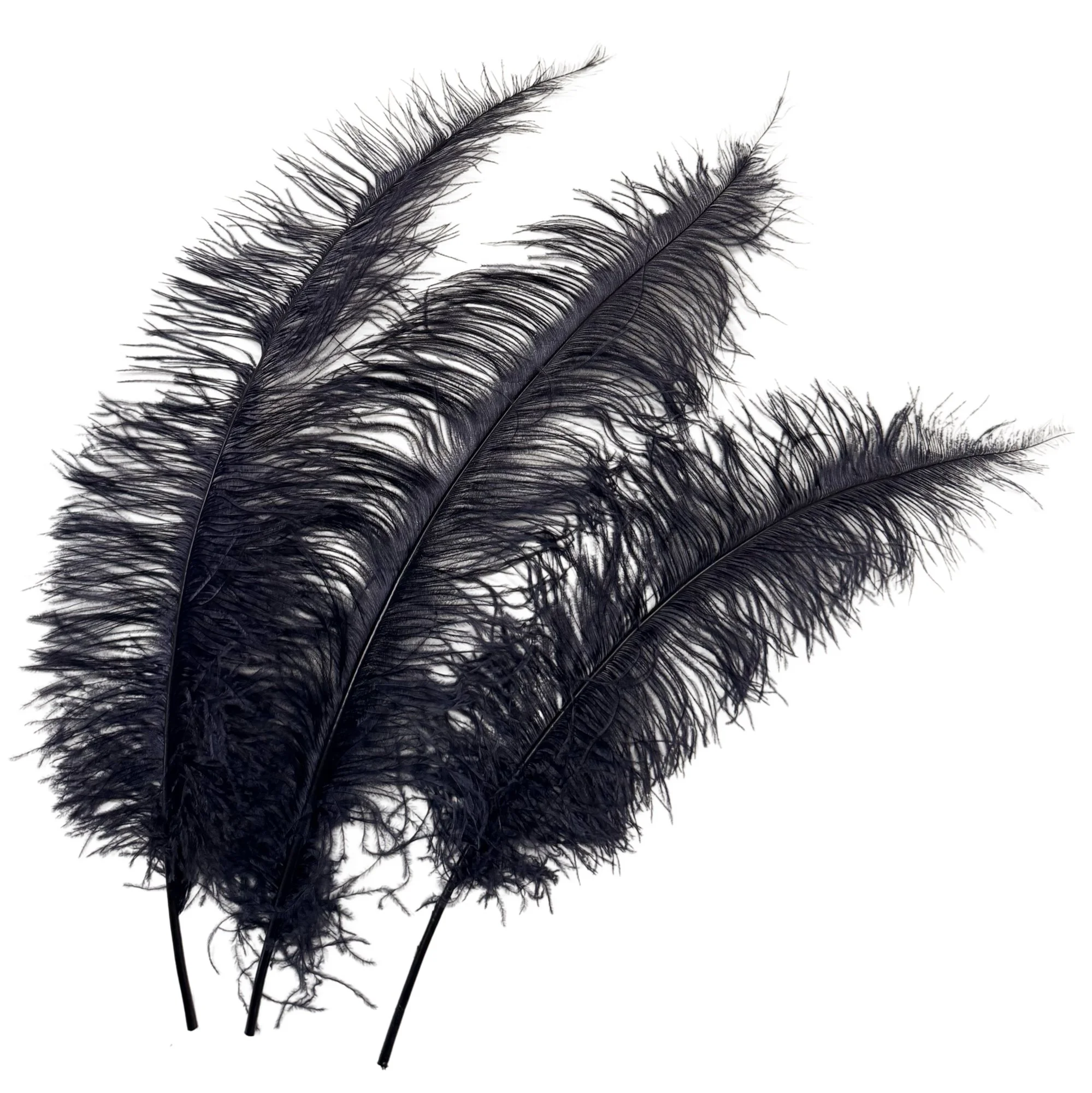 25-32" Ostrich Spads Dyed Black