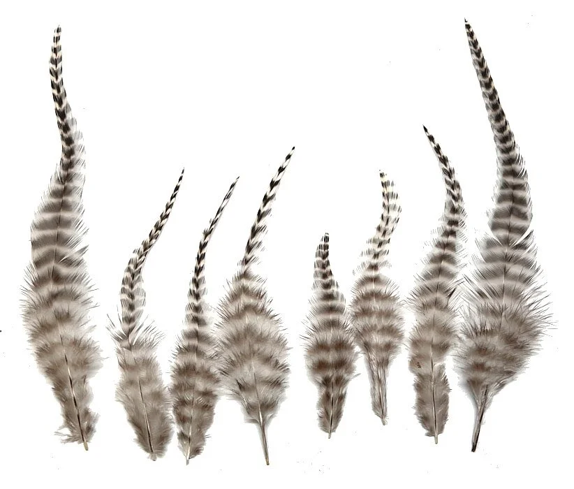 Loose Grizzly Rooster Saddles 3-7"