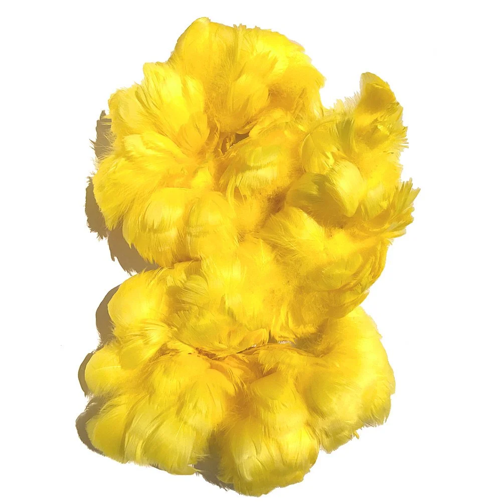 Goose Coquille Feathers 2.5-4" Dyed Yellow