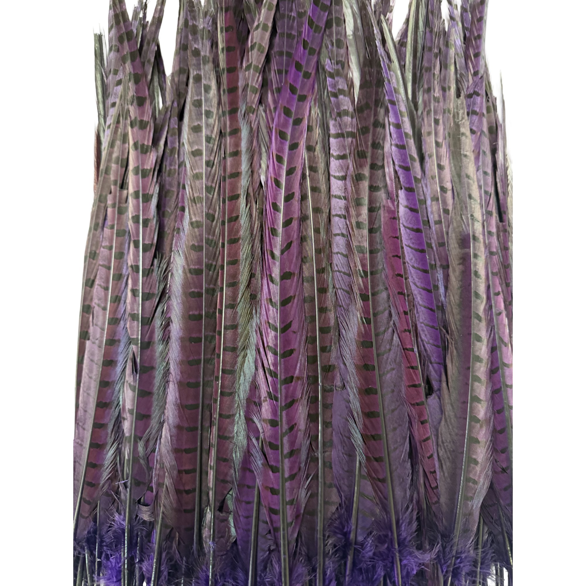 Ring2purpleb.jpg