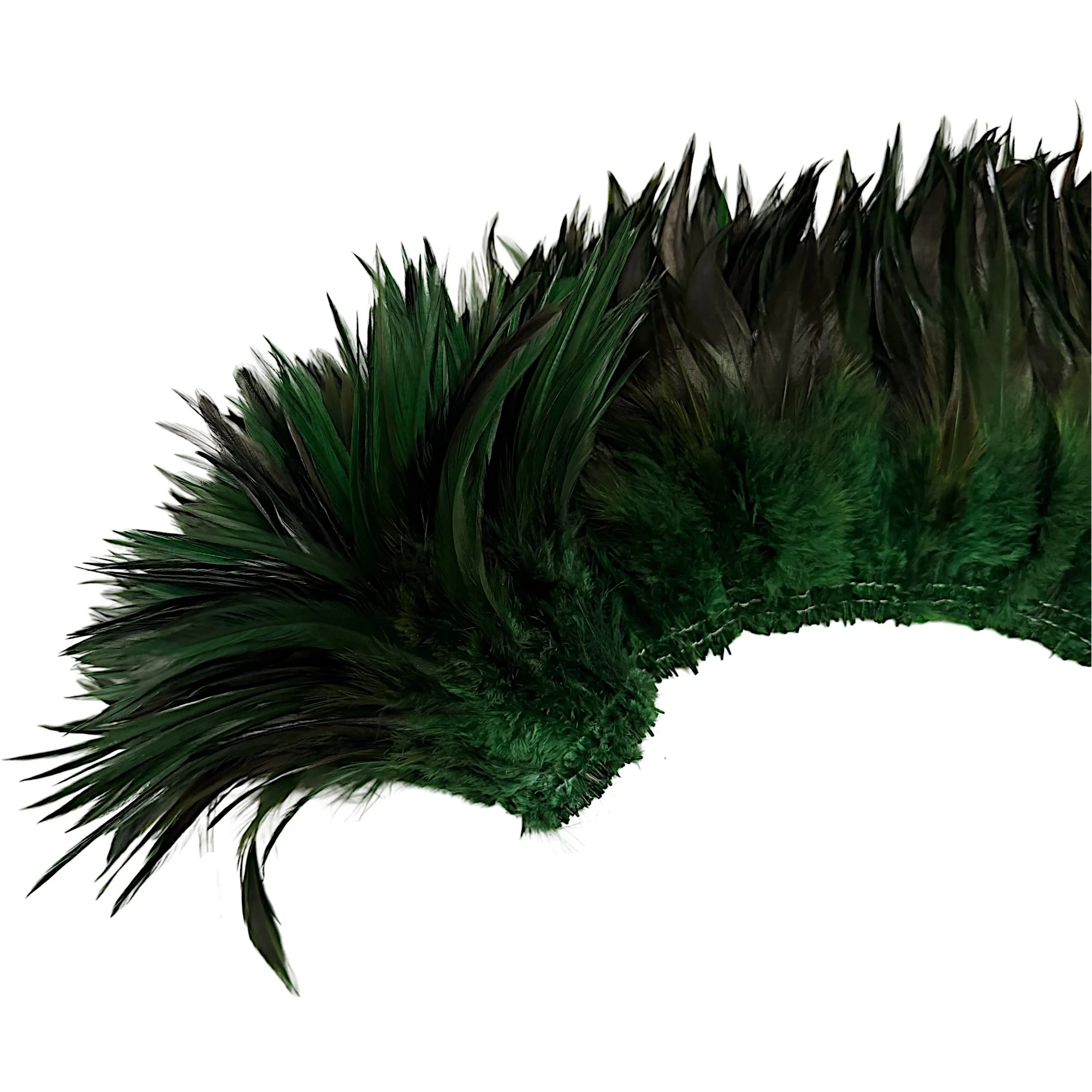 SCCS6fgreenc.jpg