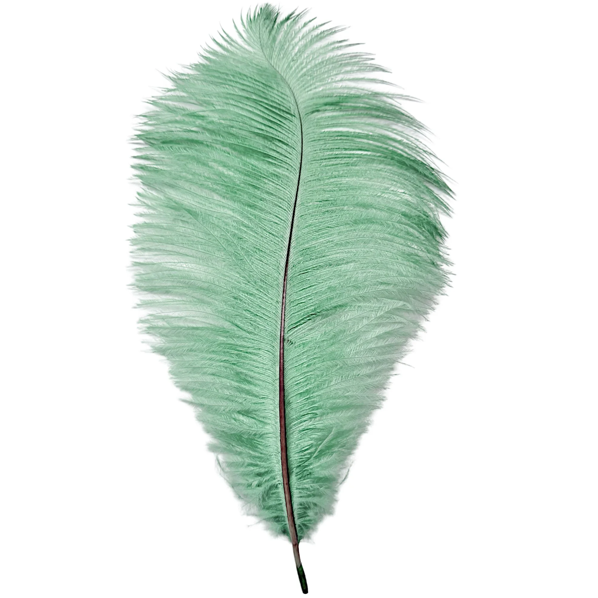9-13" Ostrich Drabs Dyed Jade