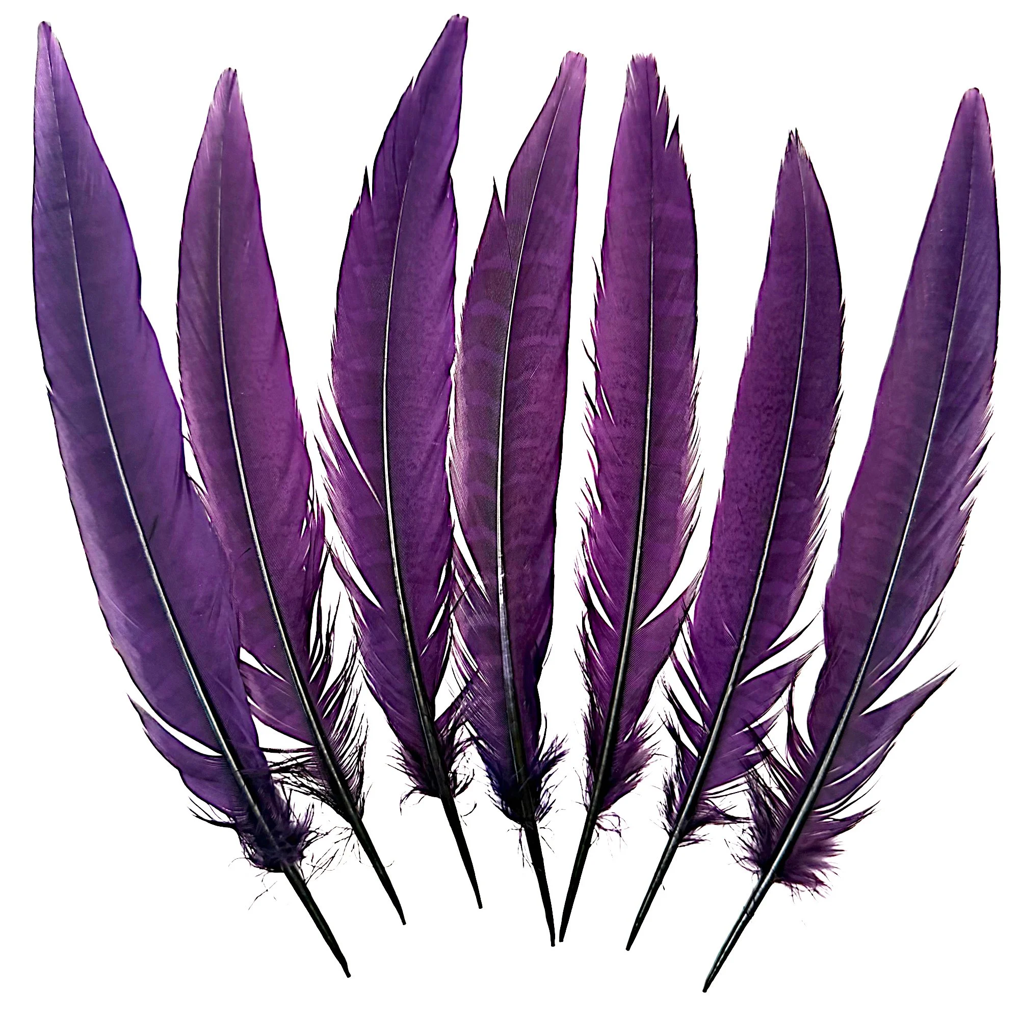 Ring8purpleb.jpg