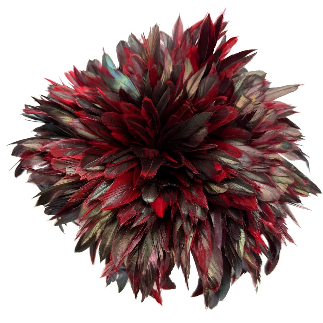 Strung Half Bronze Rooster Schlappen 5-7" Dyed Red