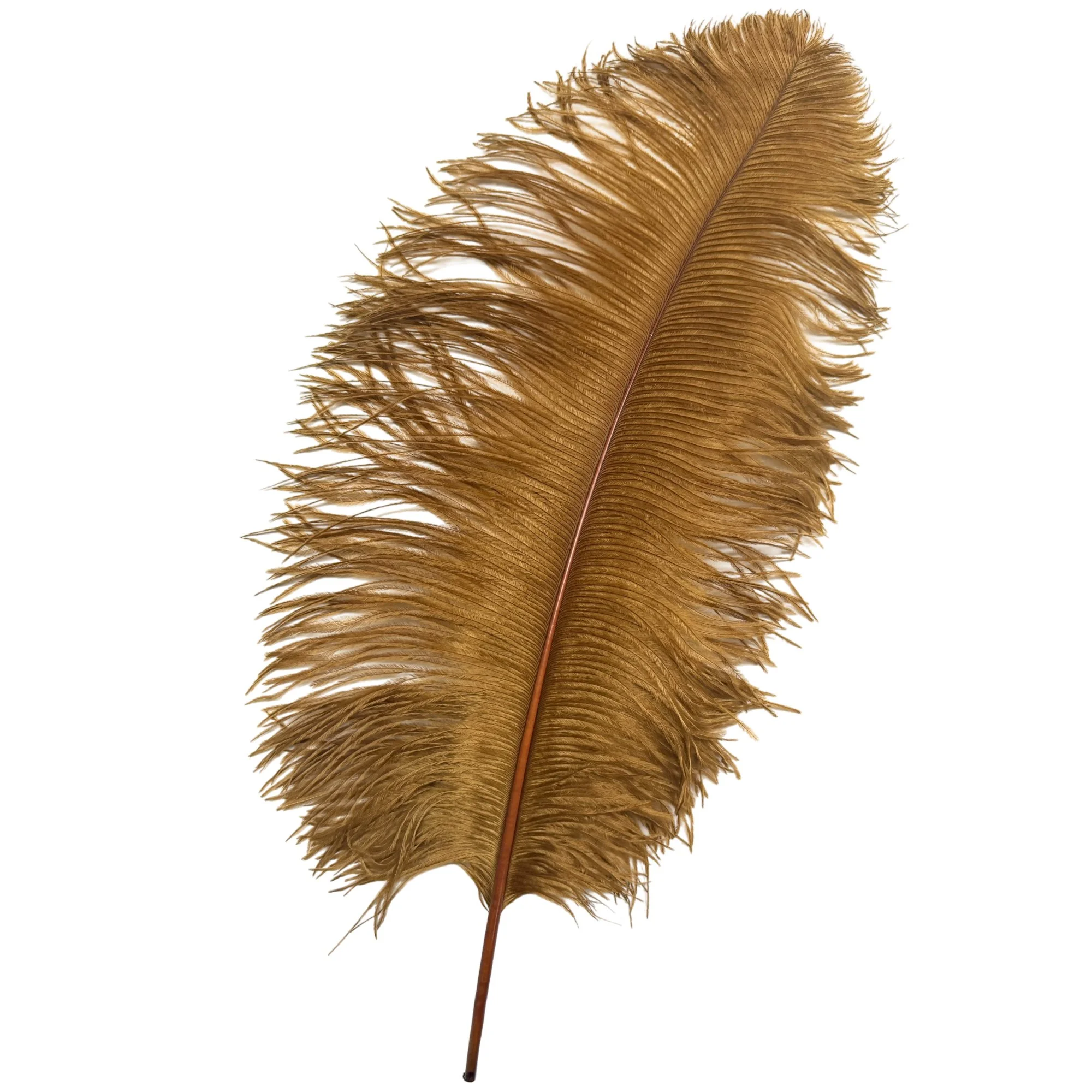 OW18goldbrown.jpg