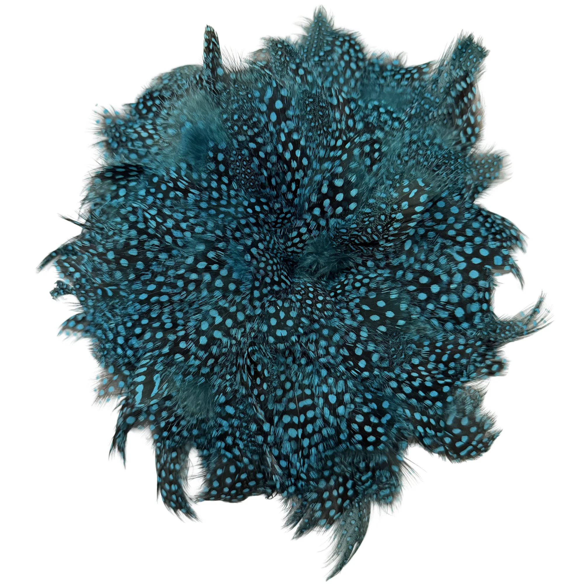 3-6" Strung Guinea Fowl Plumage with Large Eyes Turquoise