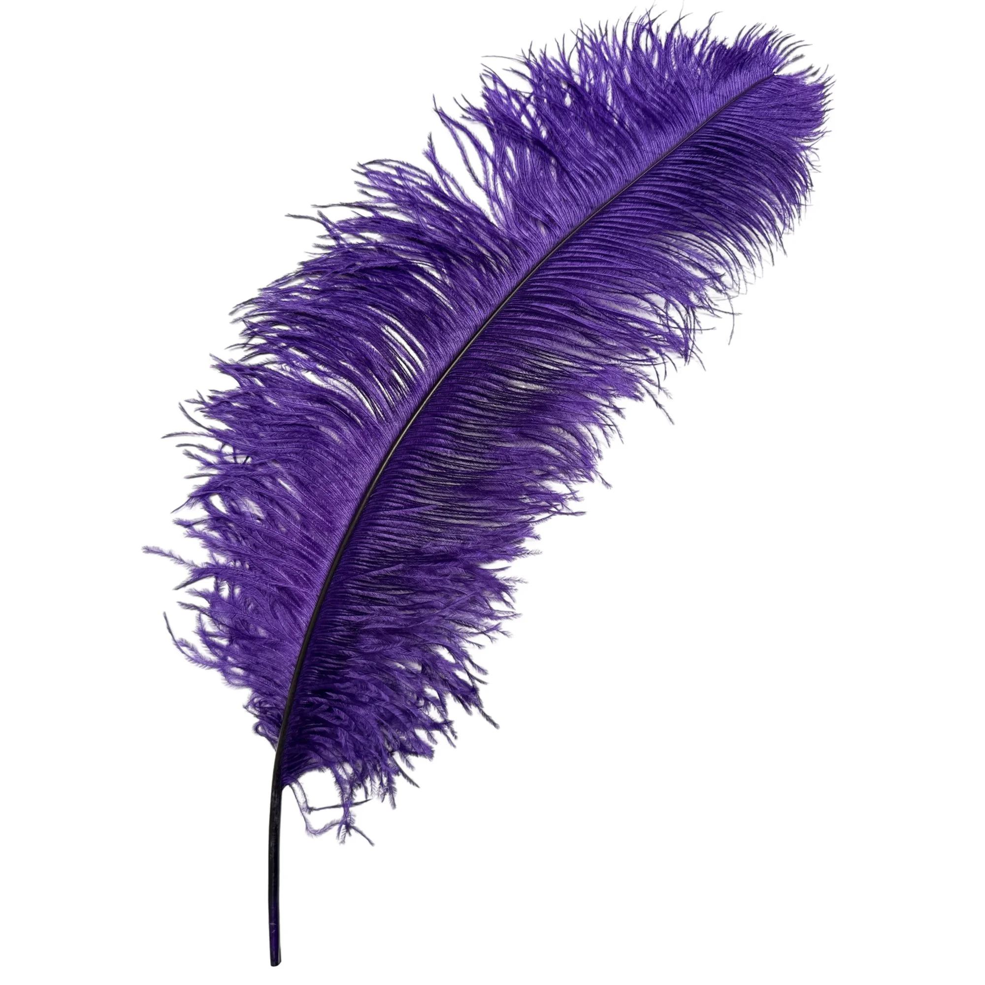 #2 Grade 18-24" Ostrich Wing Plume Feathers - Purple