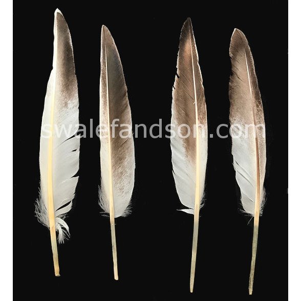 Fancy Duck Pointers 5-7" per 1/2 lb