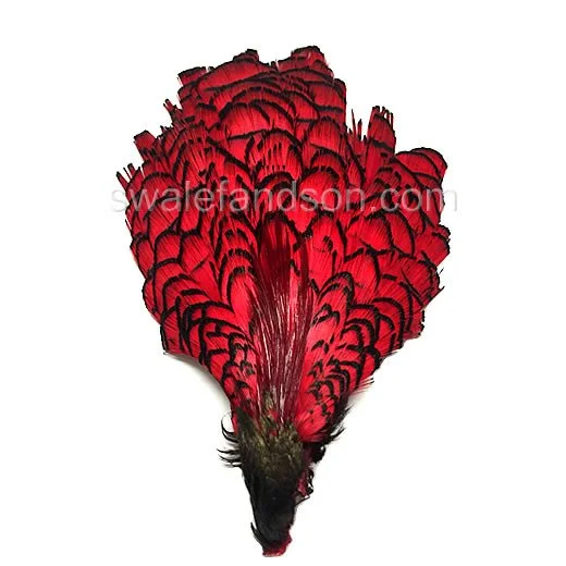 Lady Amherst Pheasant Crowns #1 Grade Dyed Red - each