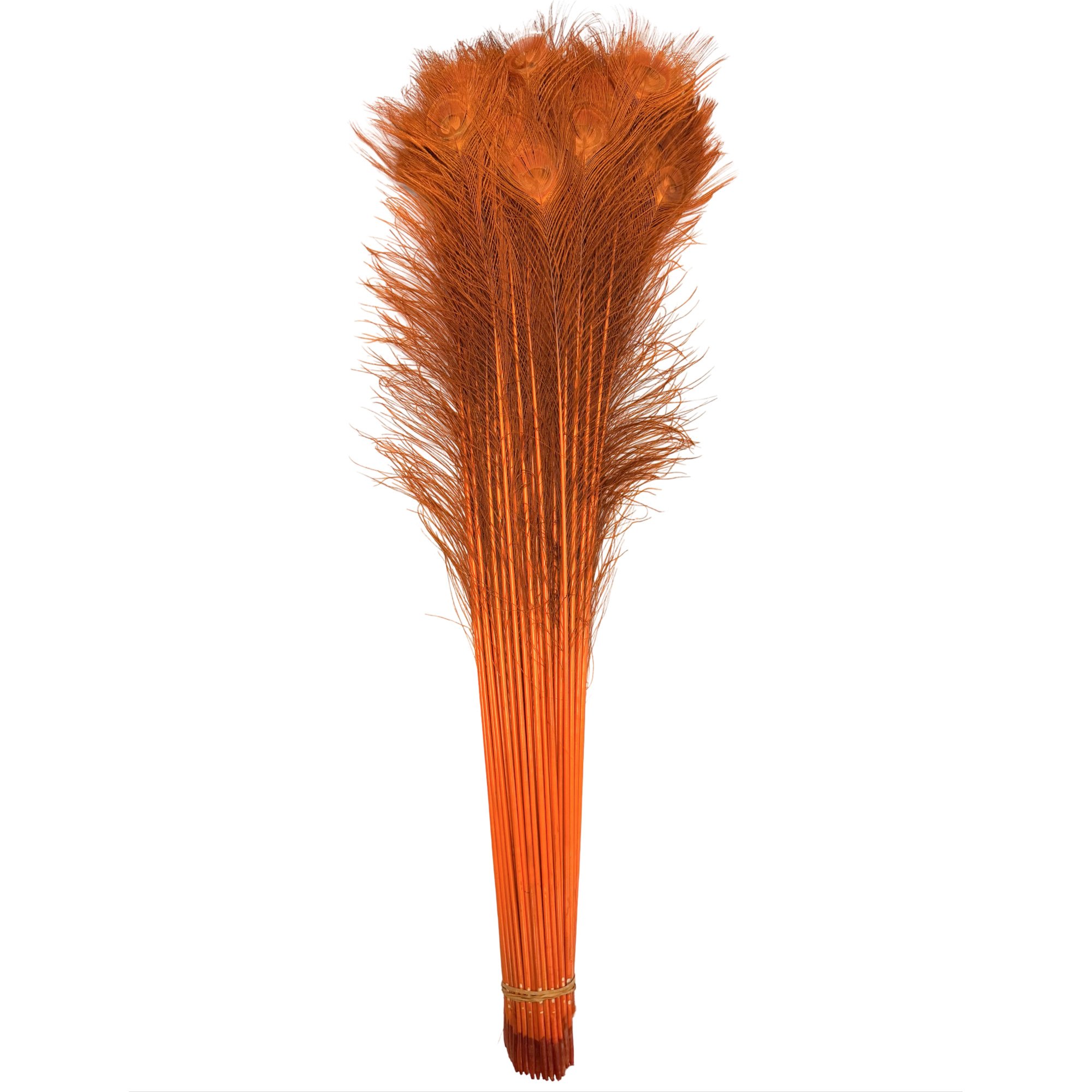 PC35borangea.jpg