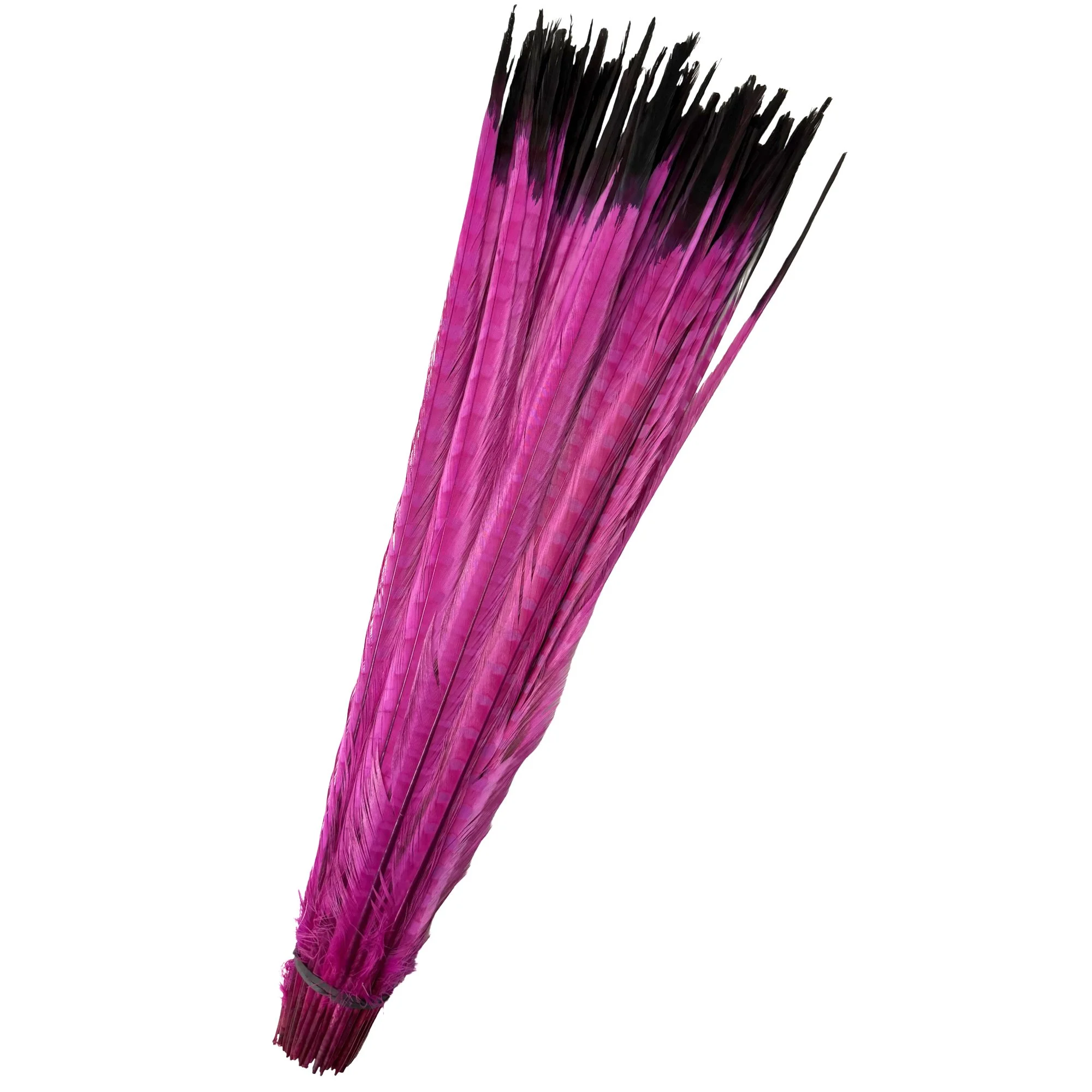 Ringfuchsiablack.jpg