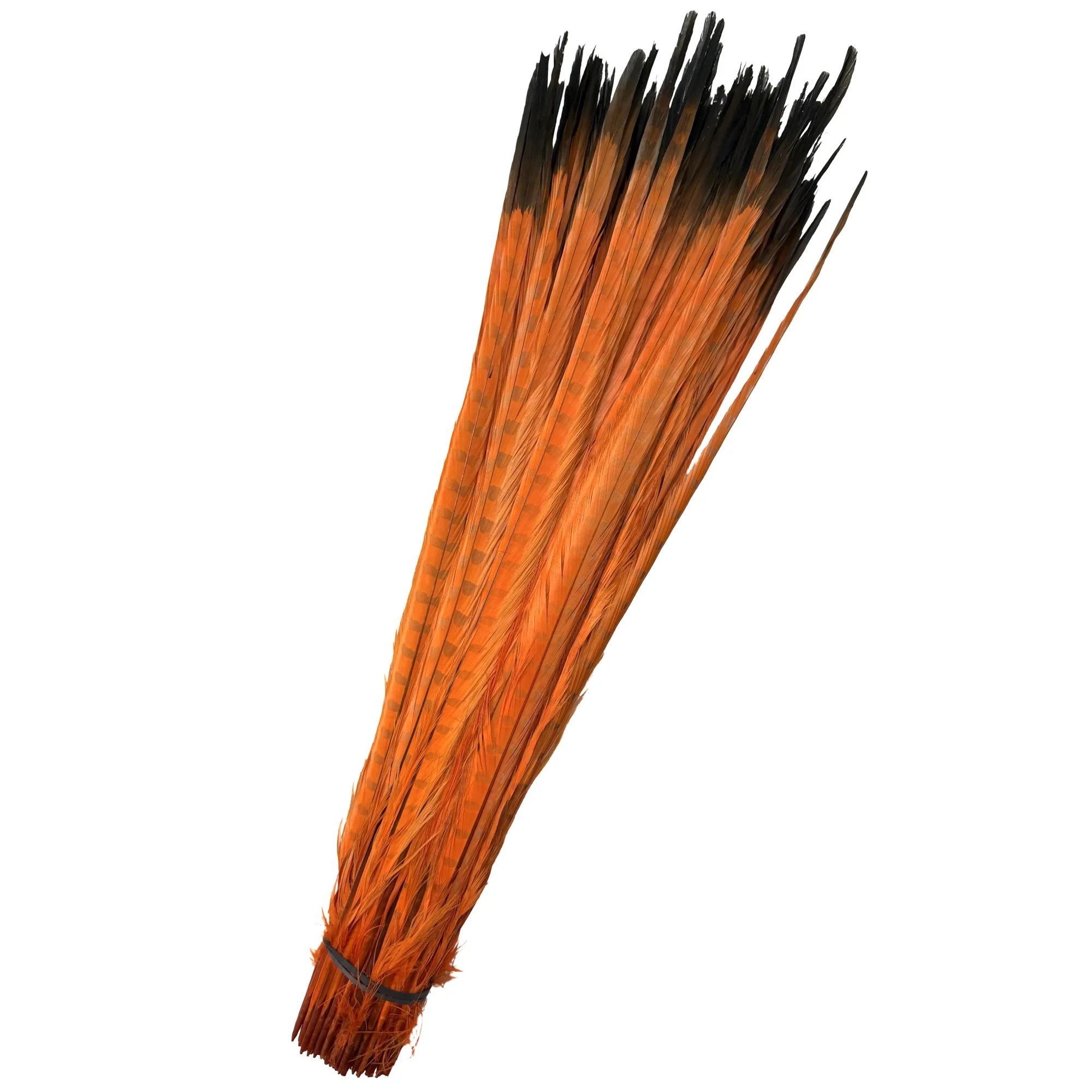 Ringorangeblack.jpg