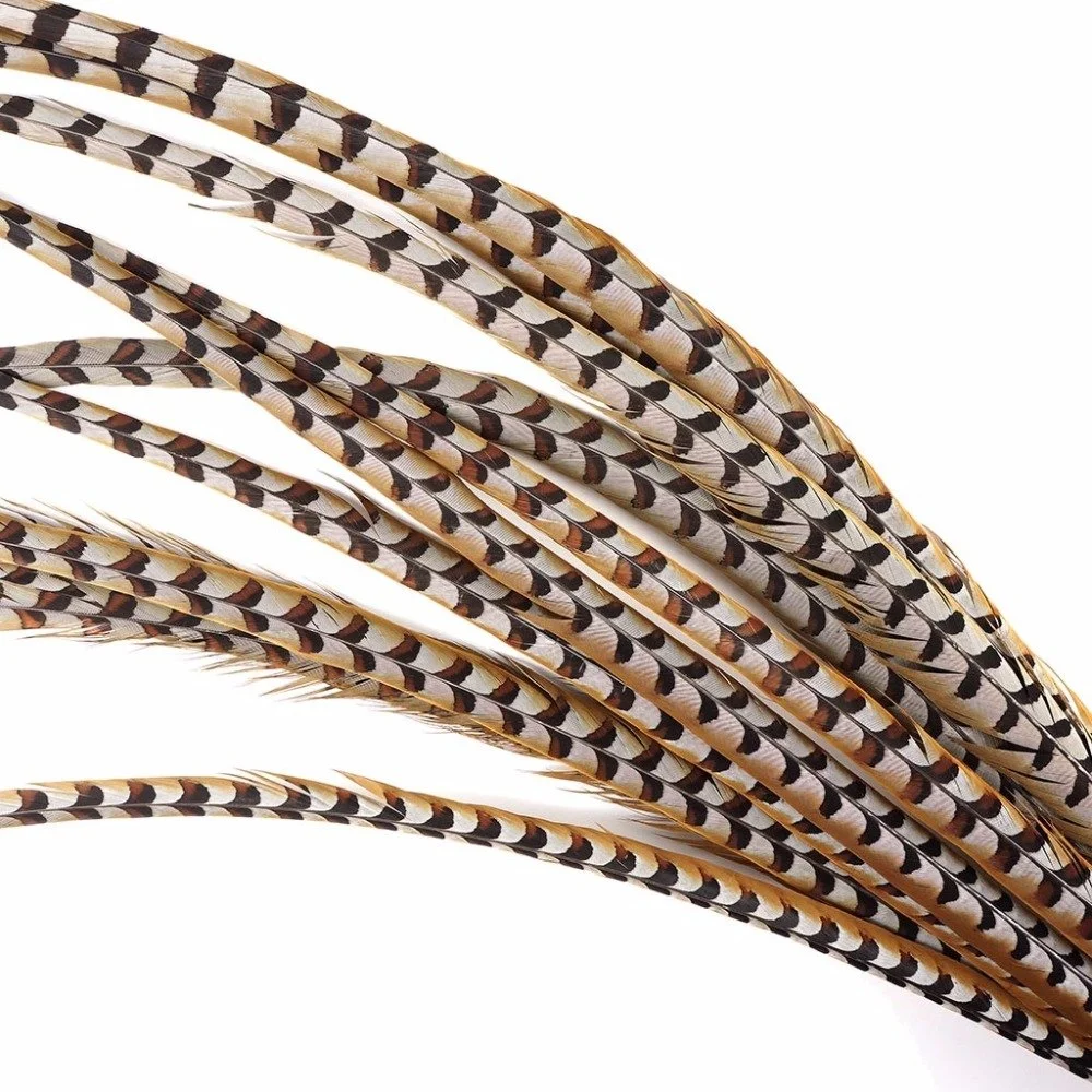Reeves Pheasant Tail Feathers