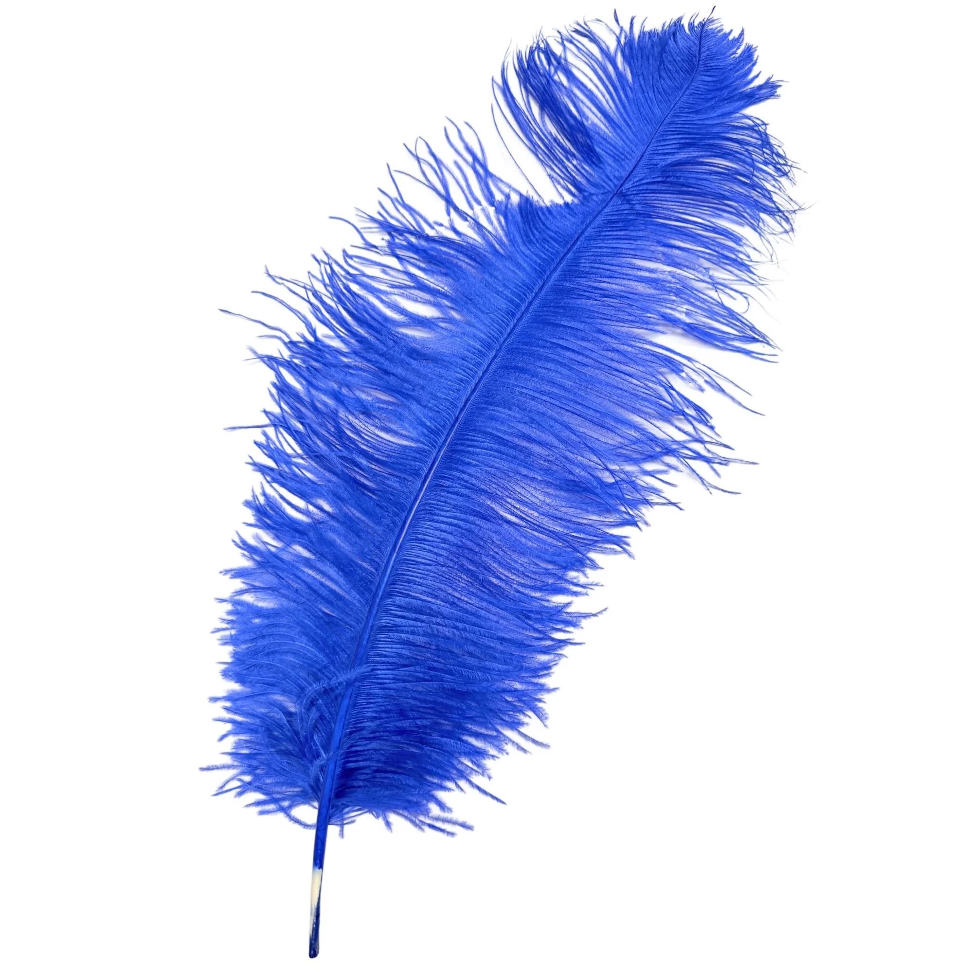 #2 Grade 25-29" Ostrich Wing Plume Feathers - Royal Blue