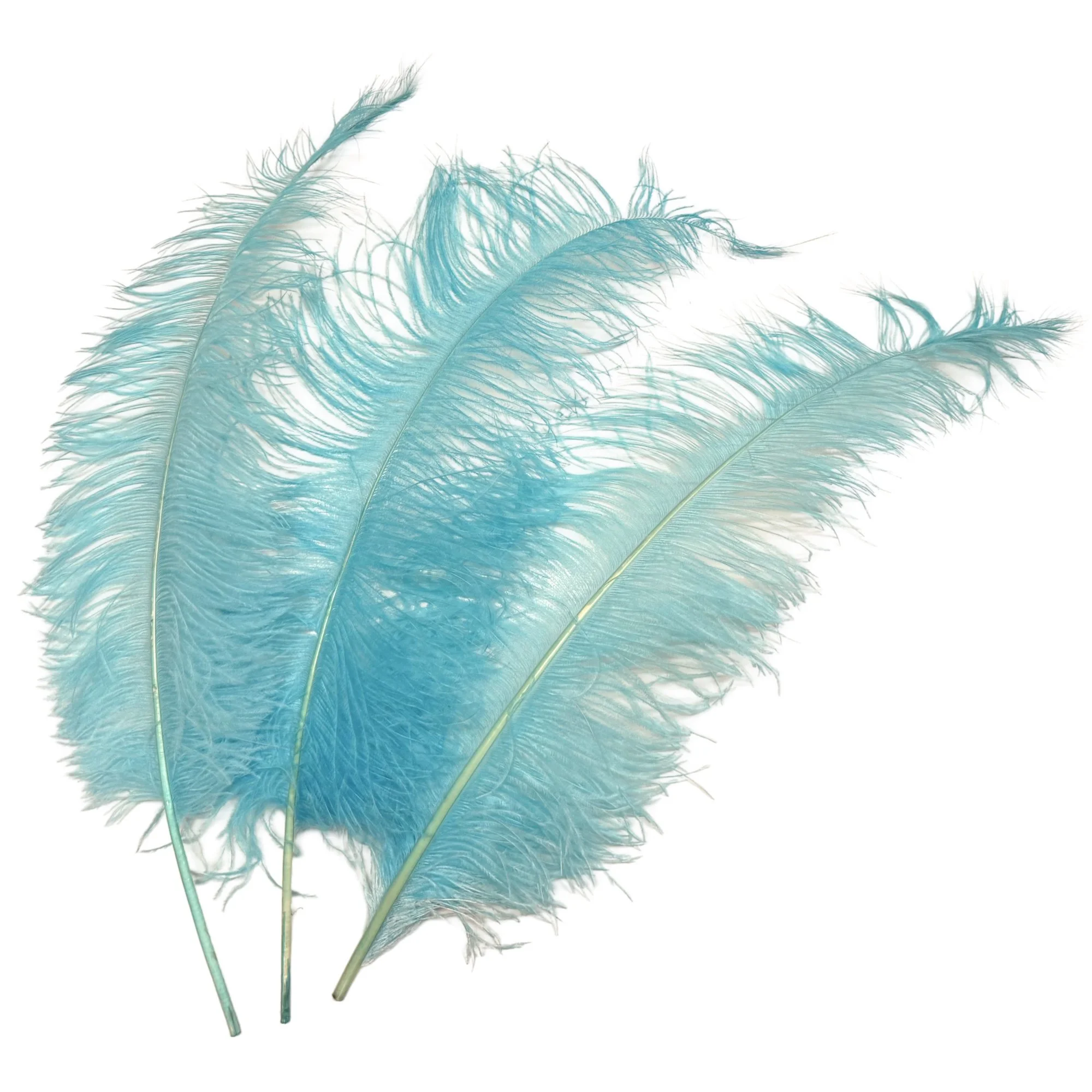 25-32" Ostrich Spads Dyed Aqua