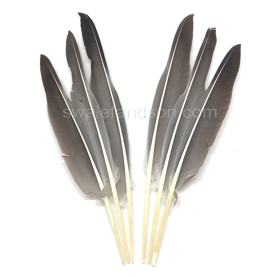 Goose Pointers (primaries) Natural Gray 9-13"