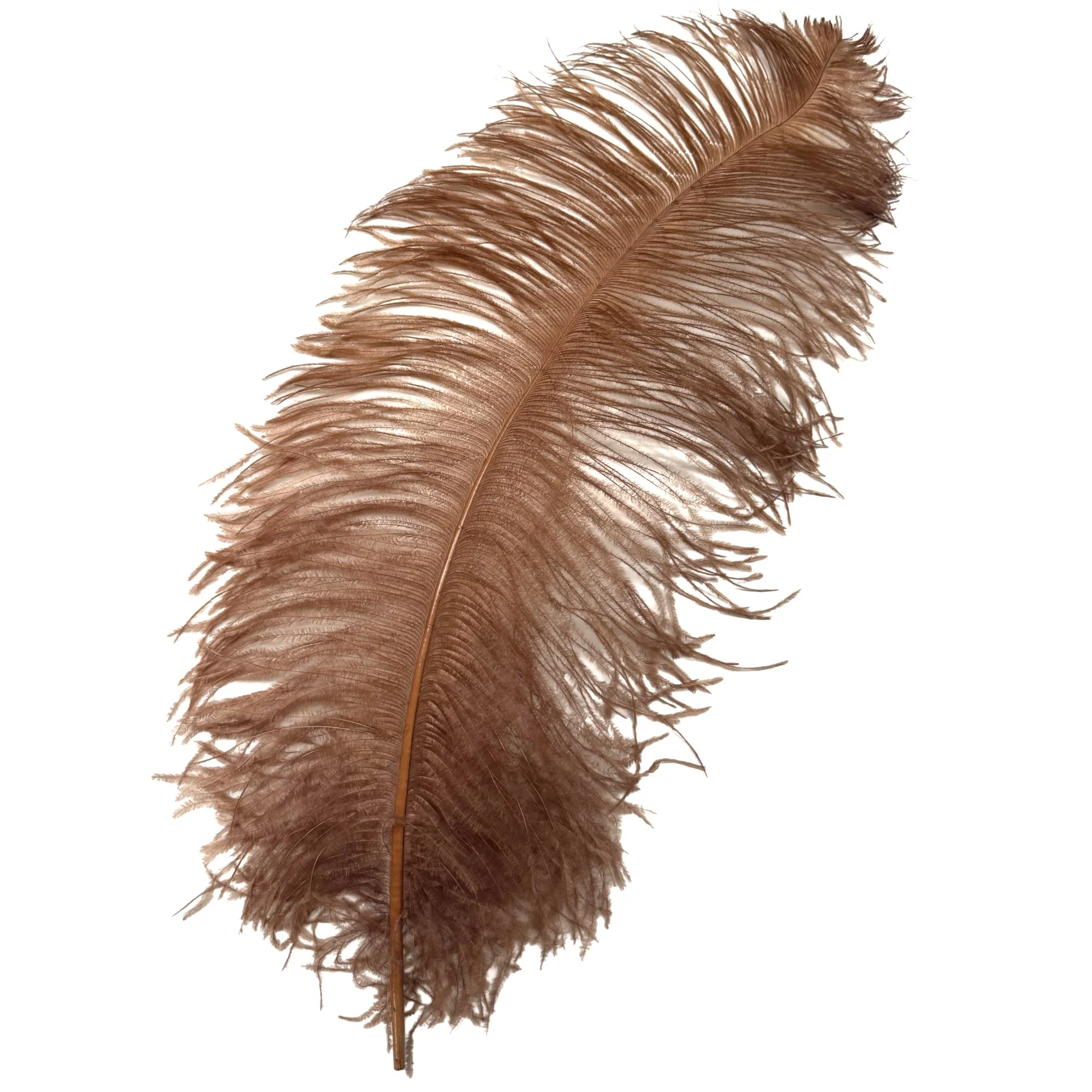#1 Grade 25-29" Ostrich Wing Plume Feathers - Dyed Light Brown