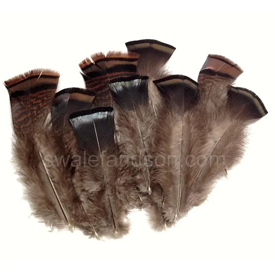 Wild Turkey Flat Feather Mix