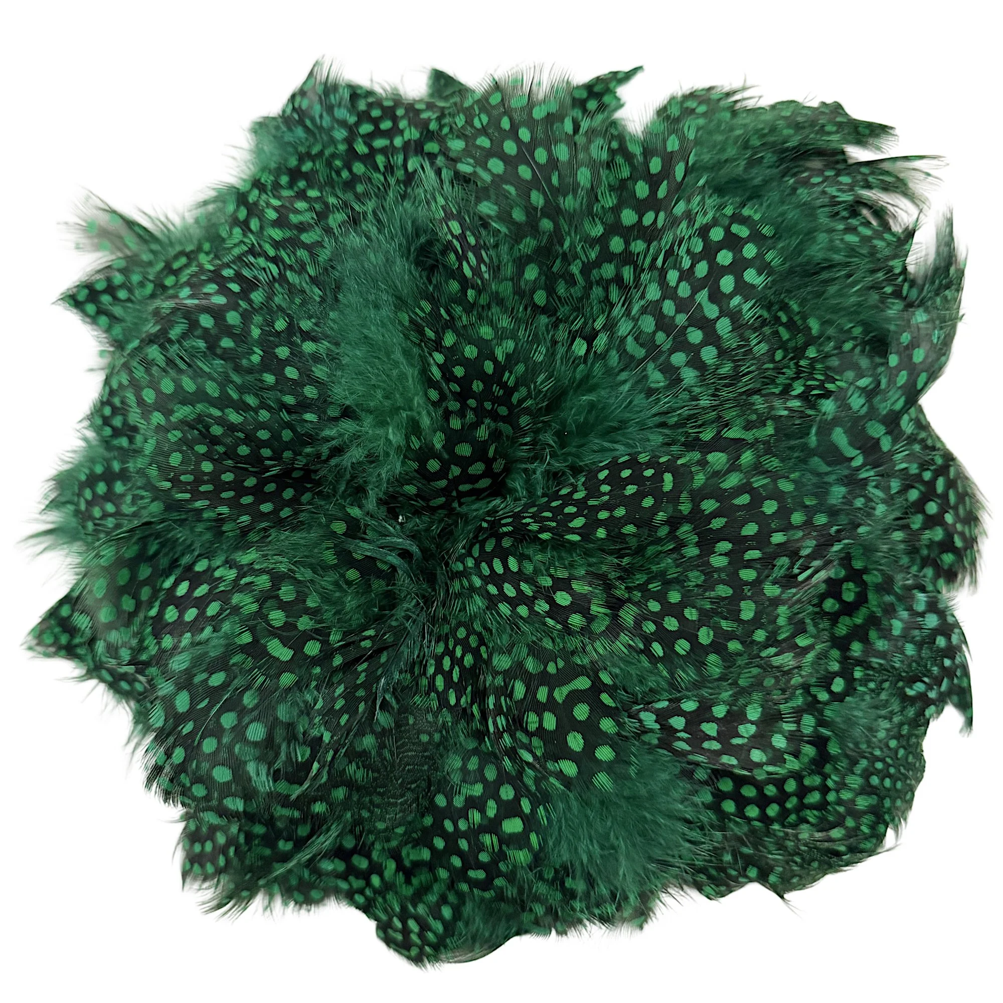 3-6" Strung Guinea Fowl Plumage with Large Eyes Dyed Green
