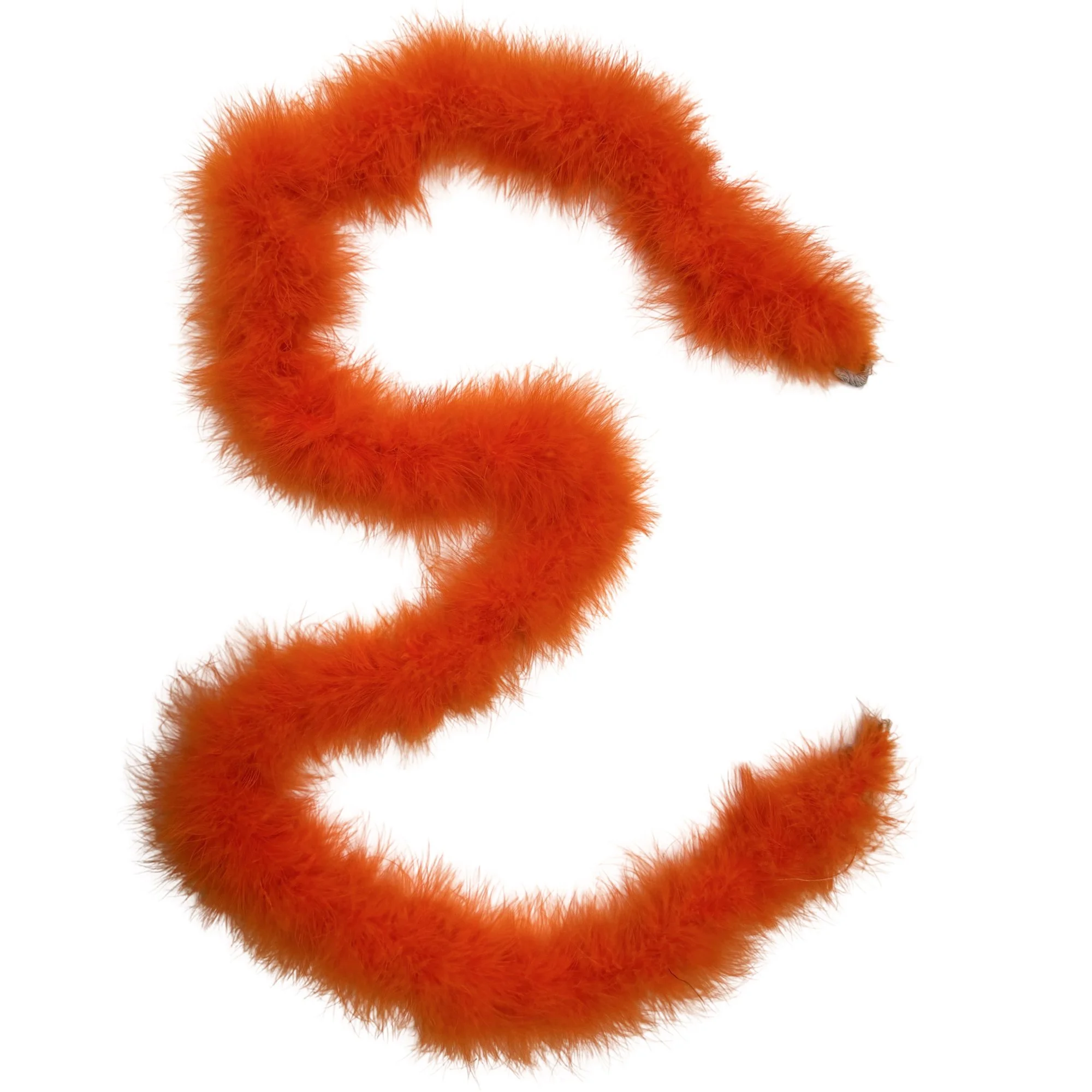 MY25orange.jpg