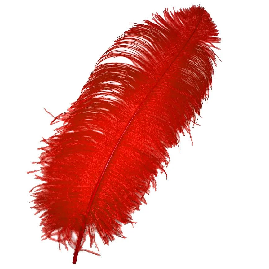#1 Grade 18-24" Ostrich Wing Plume Feathers
