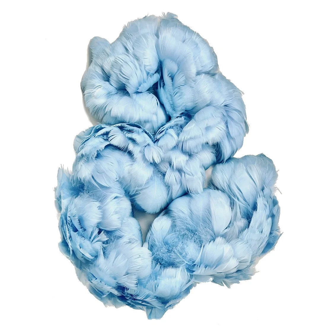 Goose Coquille Feathers 2.5-4" Dyed Light Blue