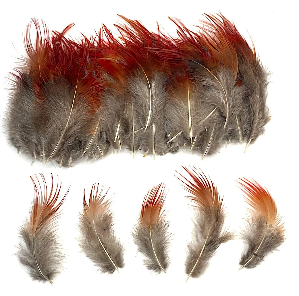 Golden Pheasant Red Plumage - per 200 pcs