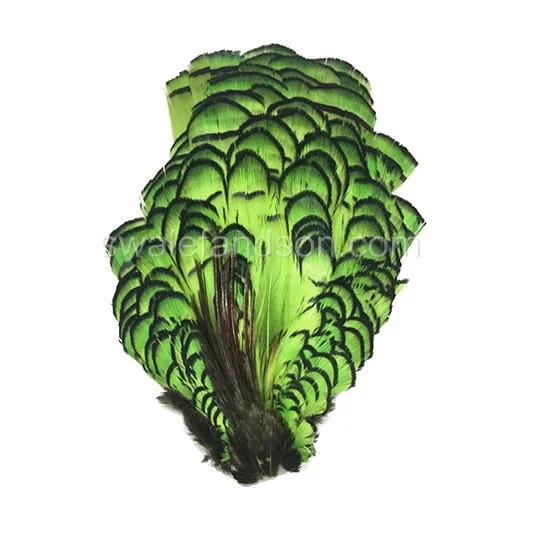 Lady Amherst Pheasant Crowns #1 Grade Dyed Chartreuse - each