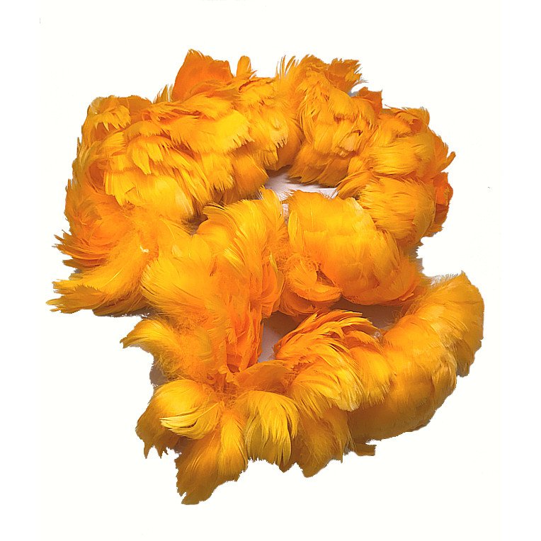 Goose Coquille Feathers 2.5-4" Dyed Ilima