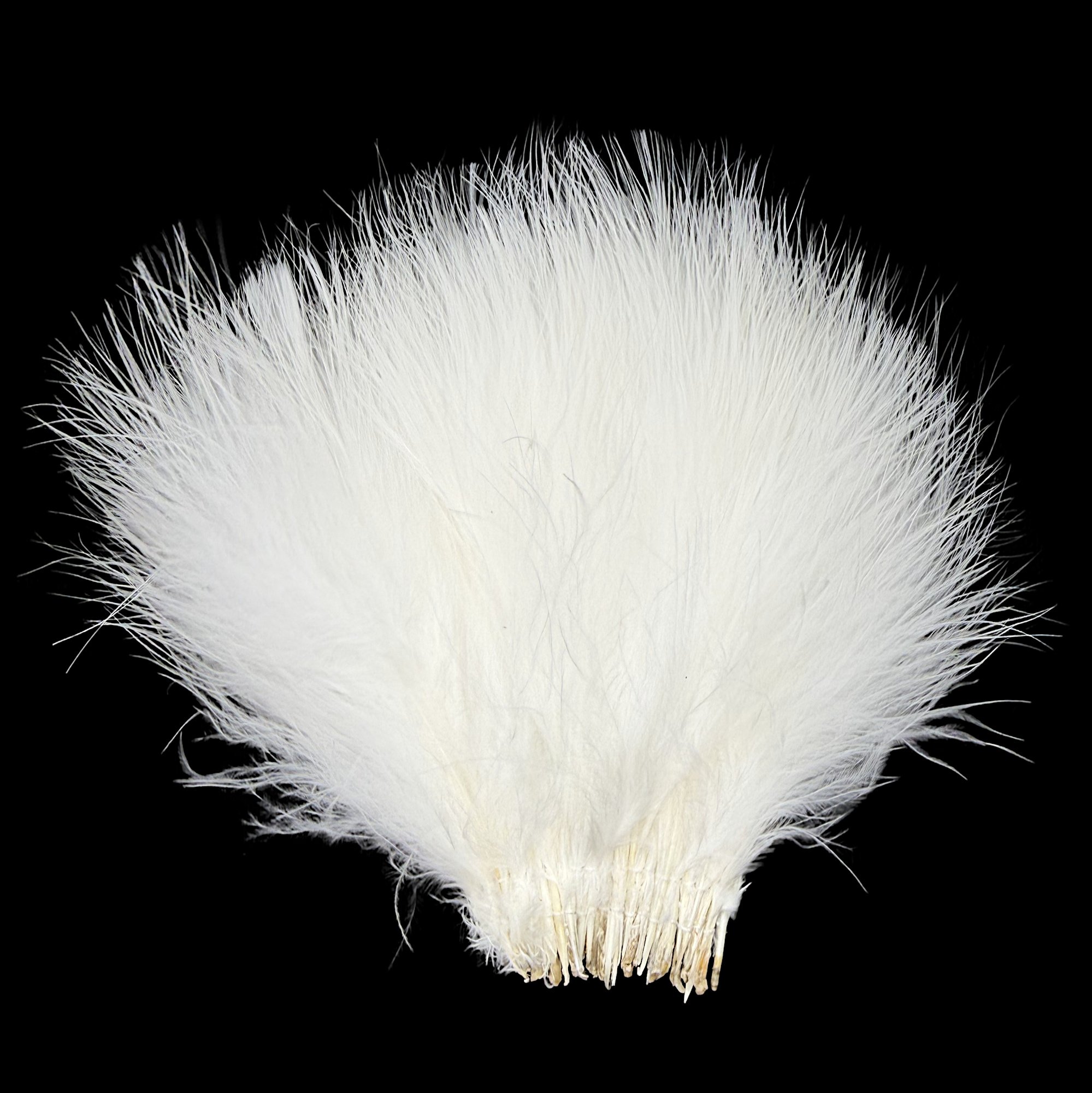 TMS4white.jpg (Copy)