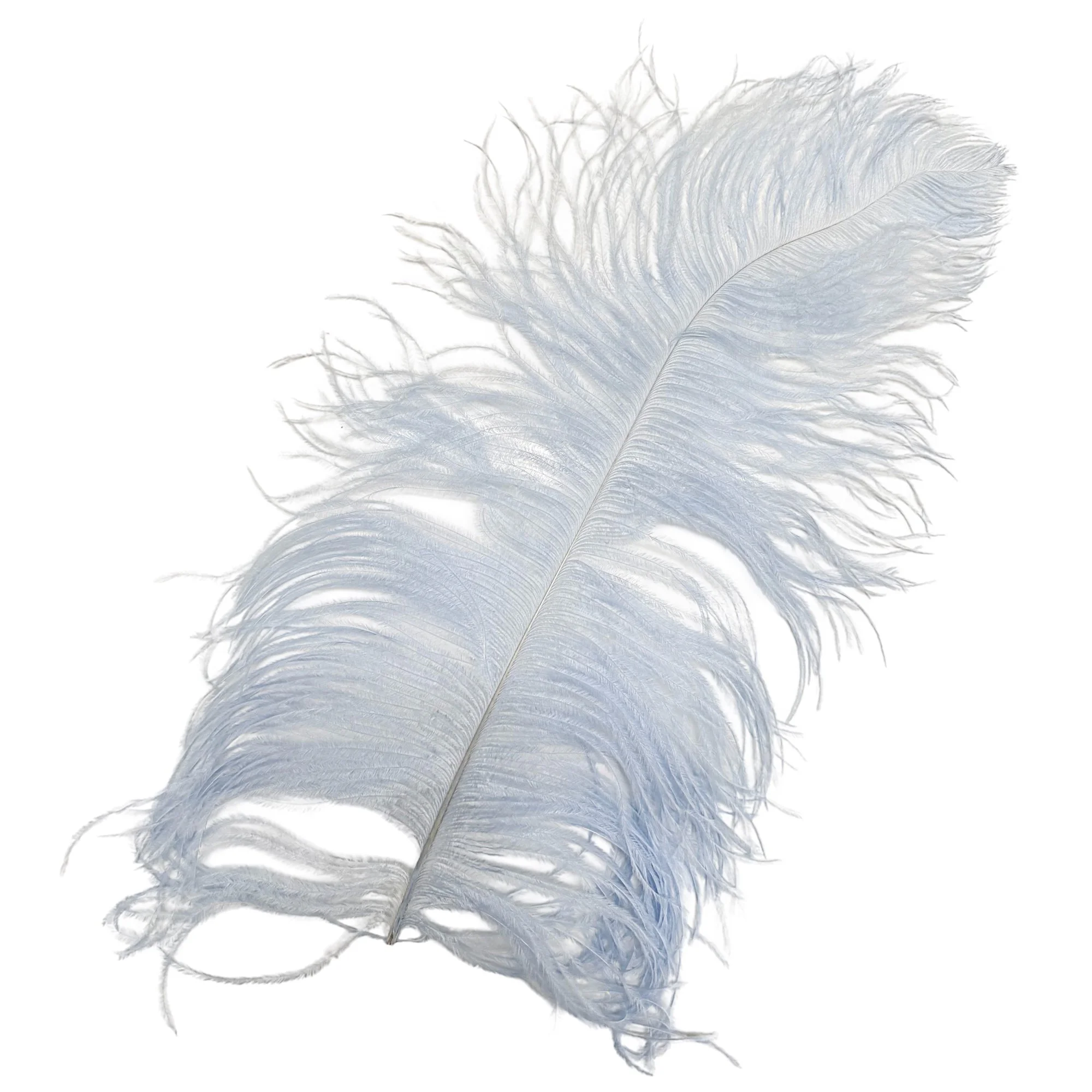 #2 Grade 18-24" Ostrich Wing Plume Feathers - Light Blue
