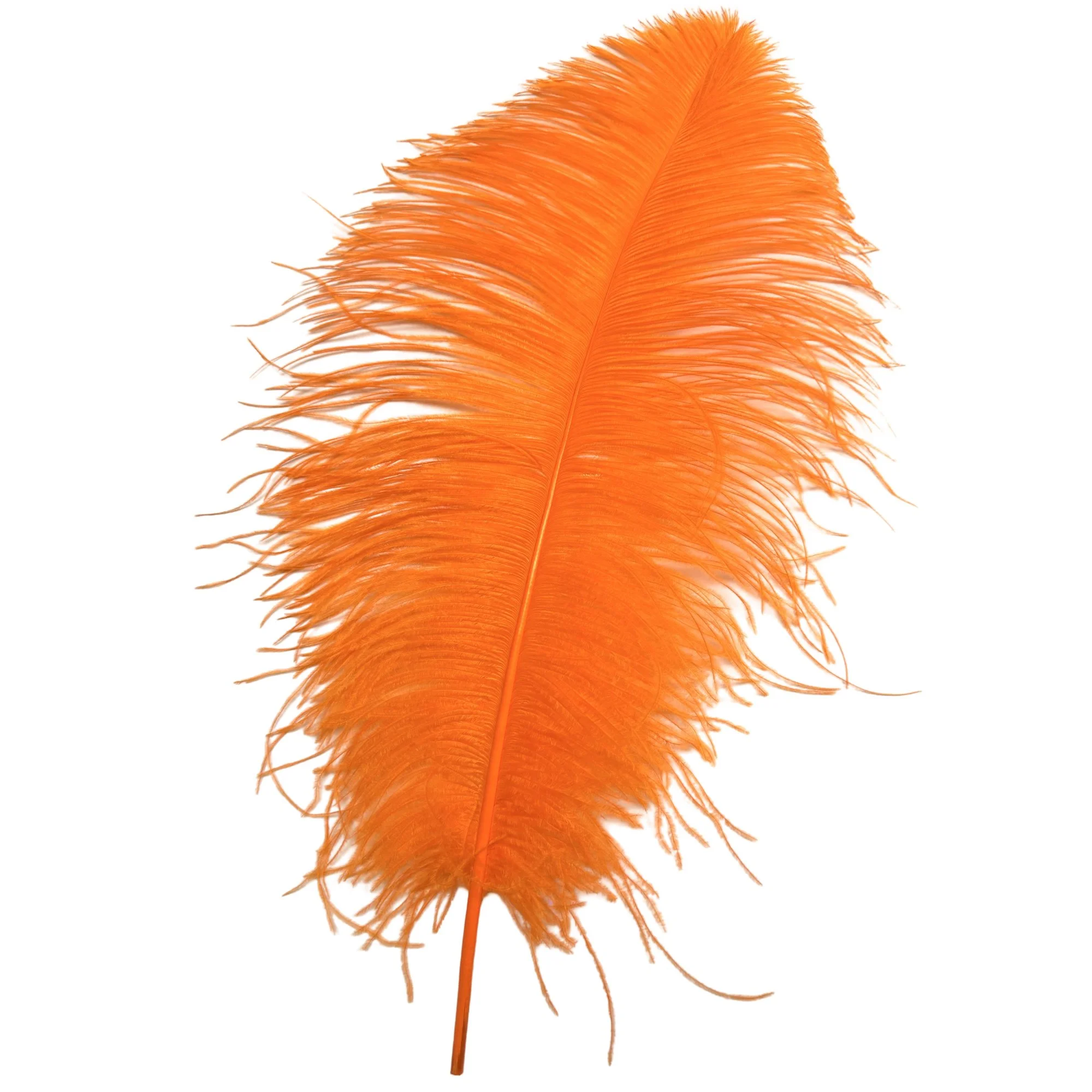 OW18orange.jpg