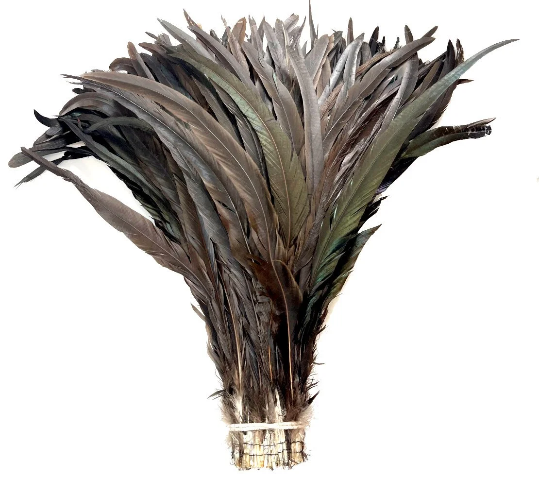 Natural Black Rooster Tail Feathers - All Sizes