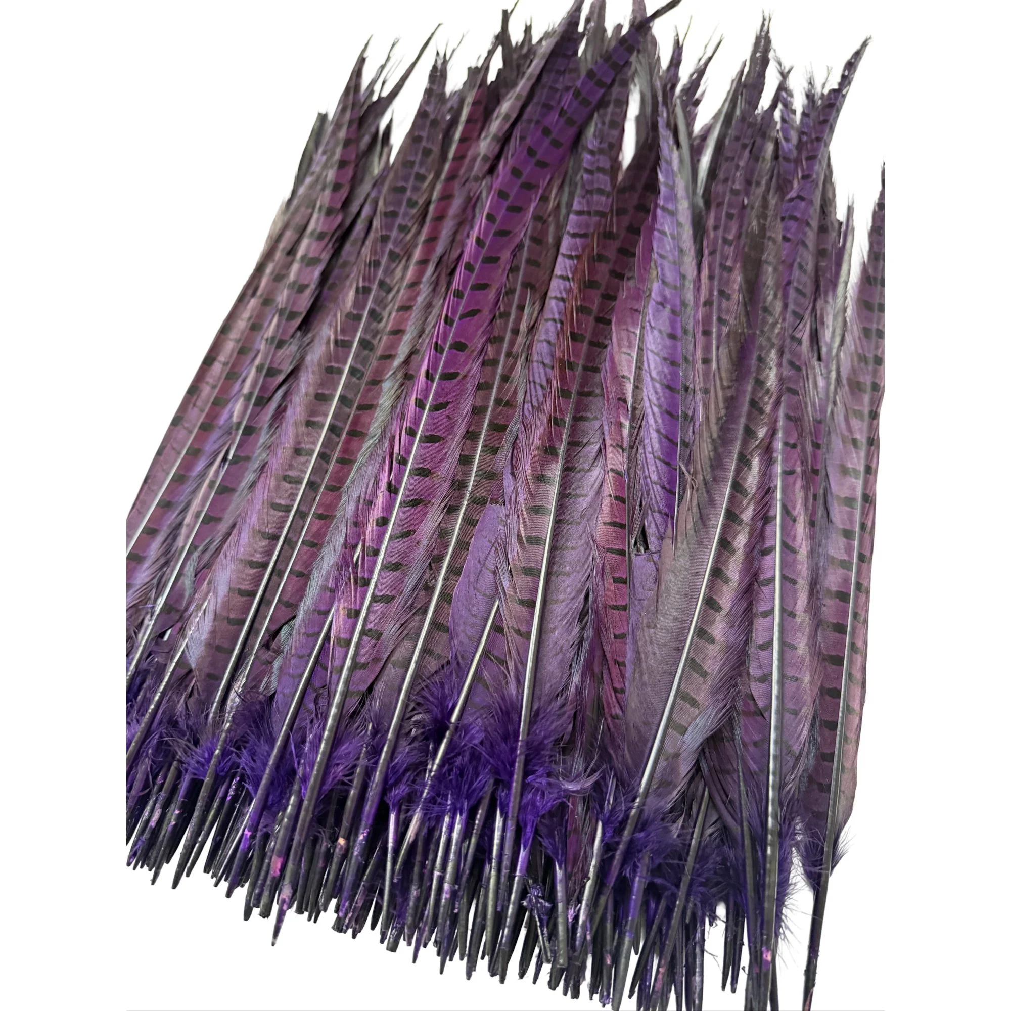 Ring2purplea.jpg