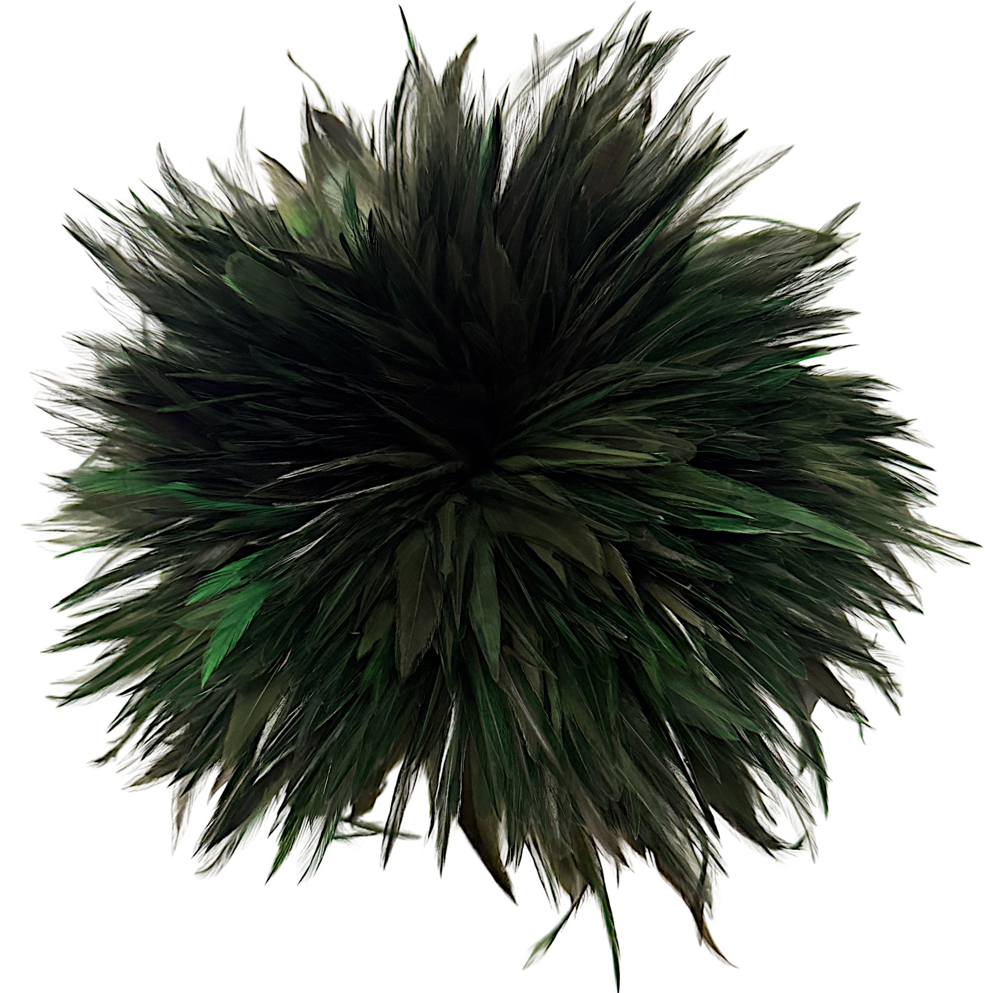 SCCS6fgreenb.jpg
