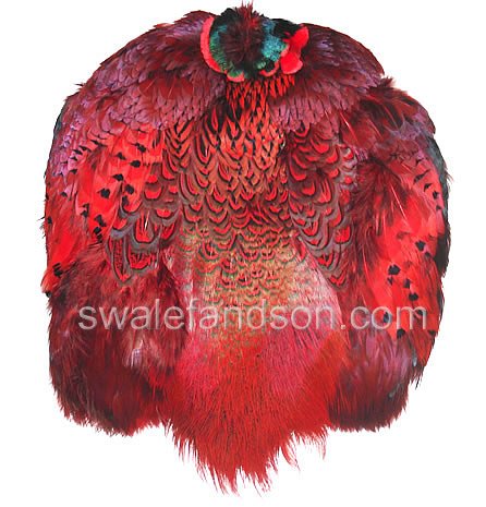 Ringneck Pheasant Pelts, Dyed Red