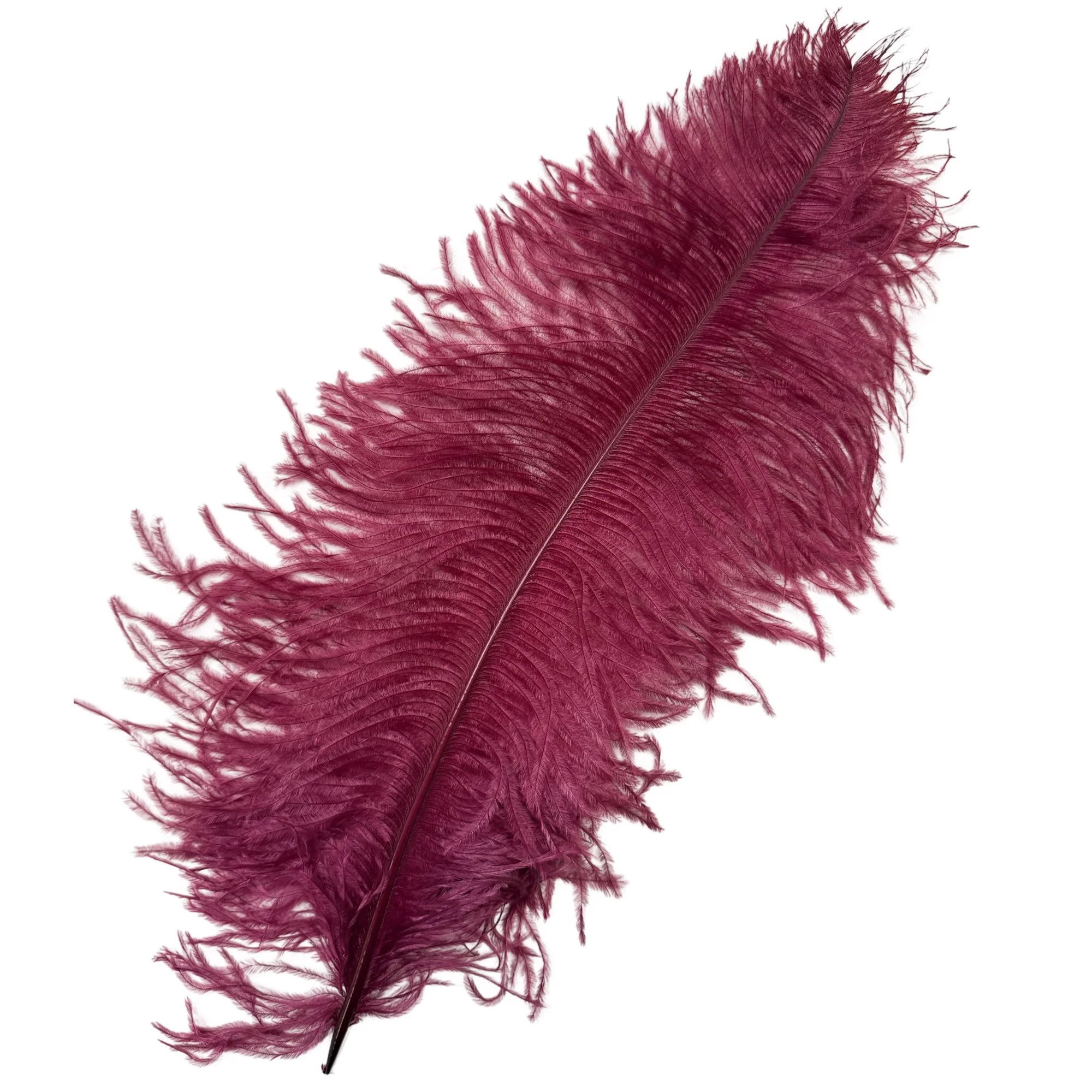 #2 Grade 18-24" Ostrich Wing Plume Feathers - Burgundy