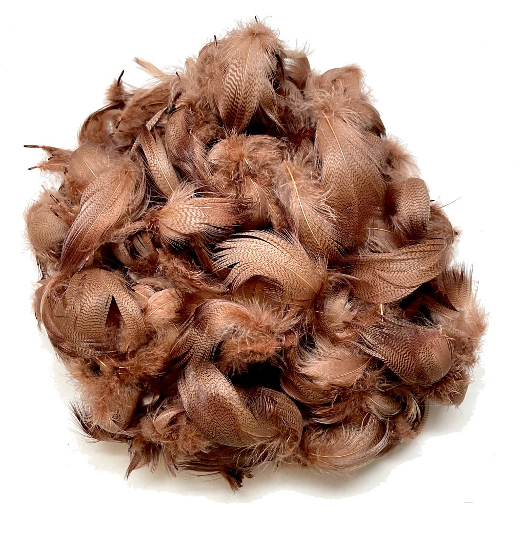 Gray Mallard Flank Feathers