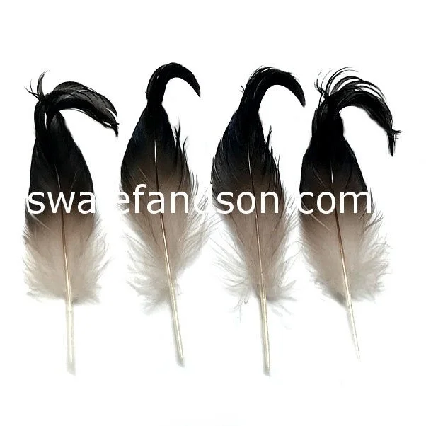 Mallard Duck Black Curly Tail Feathers - per oz