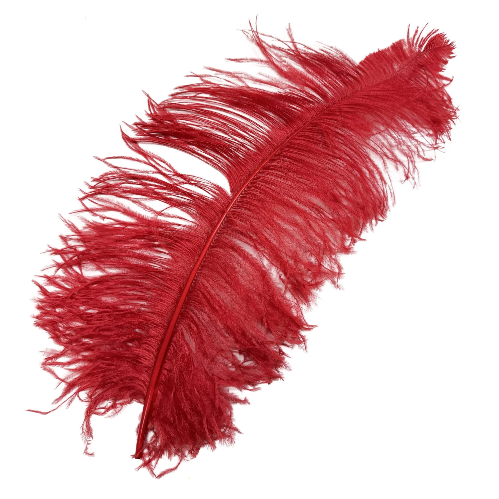 #2 Grade 25-29" Ostrich Wing Plume Feathers - Red