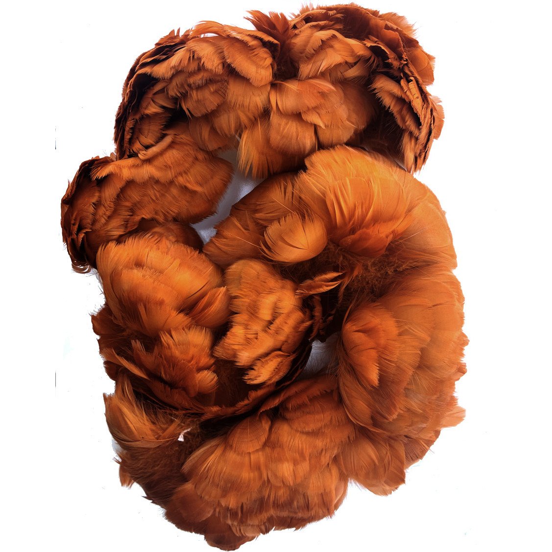 Goose Coquille Feathers 2.5-4" Dyed Burnt Orange