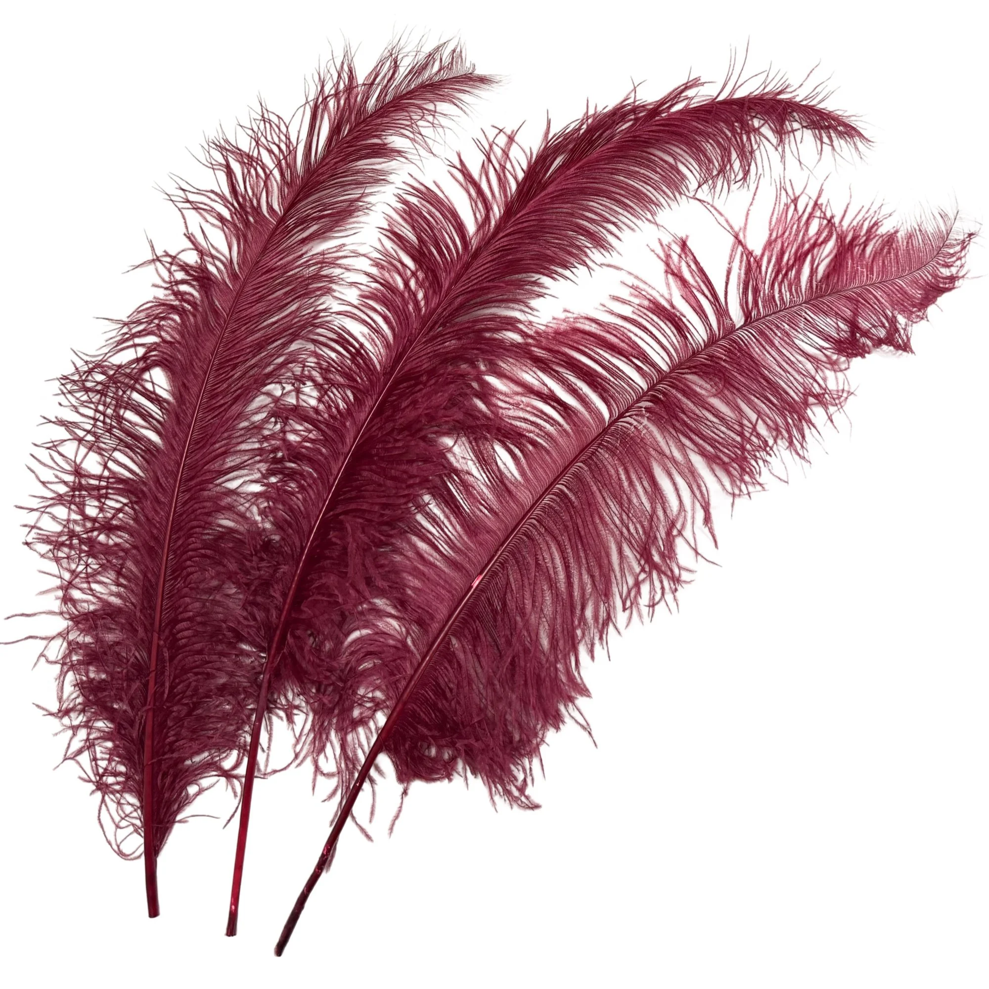 25-32" Ostrich Spads Dyed Burgundy