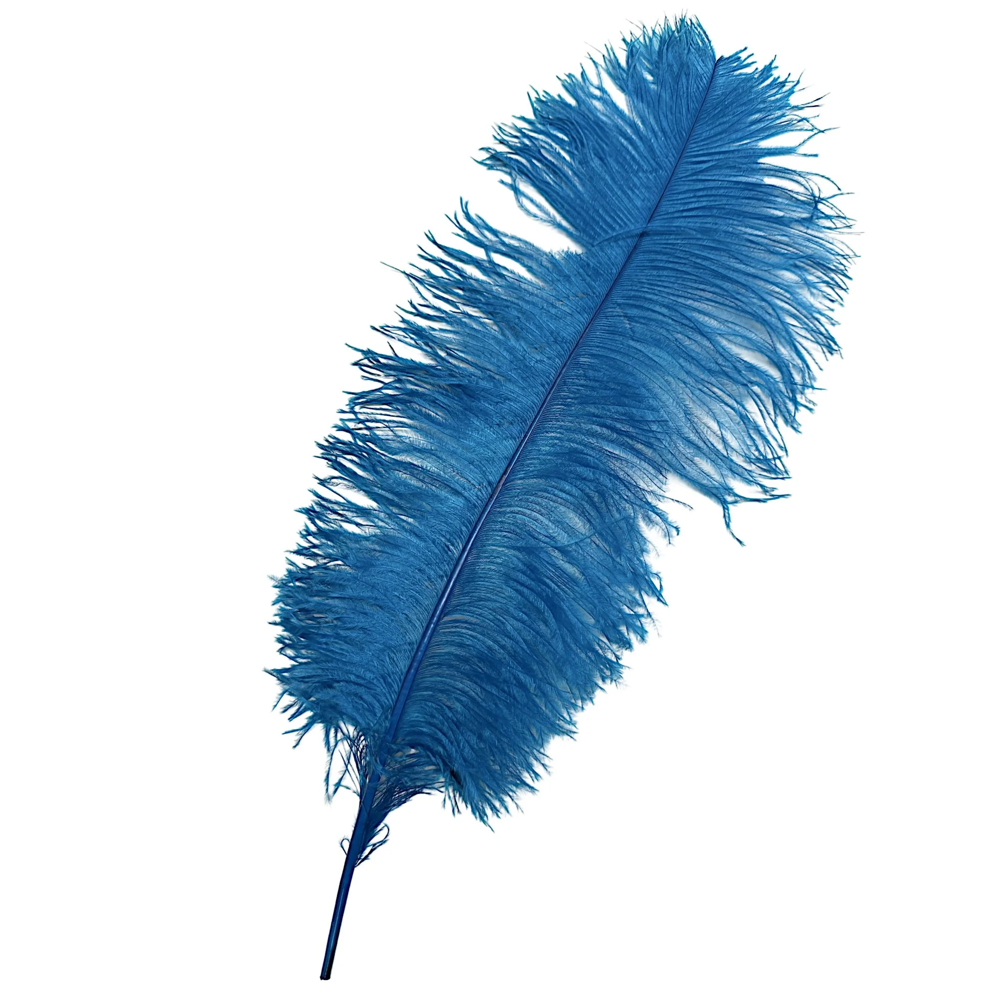 #2 Grade 18-24" Ostrich Wing Plume Feathers - Turquoise