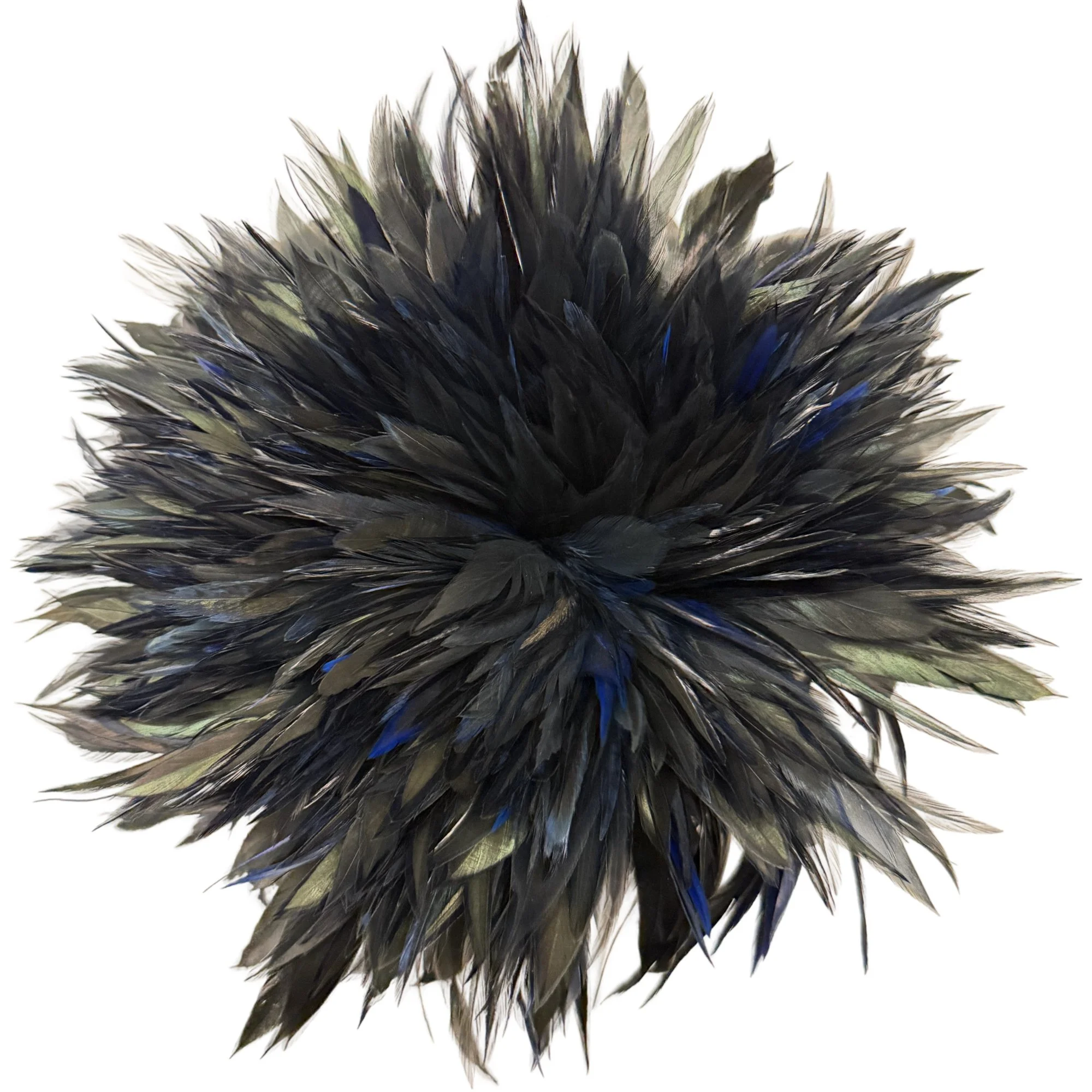 SCCS6fblueb.jpg