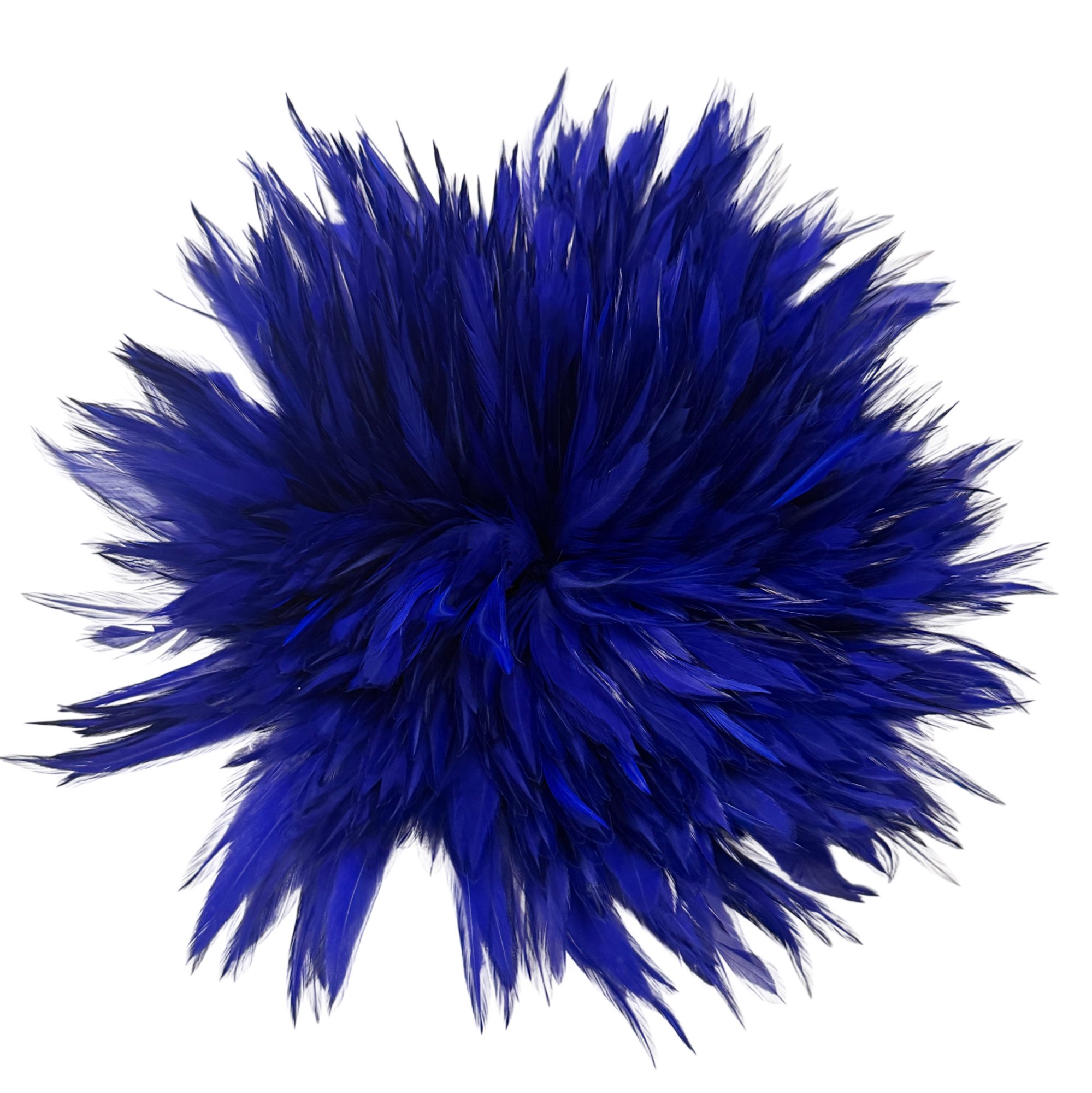 SCCS6royalb.jpg
