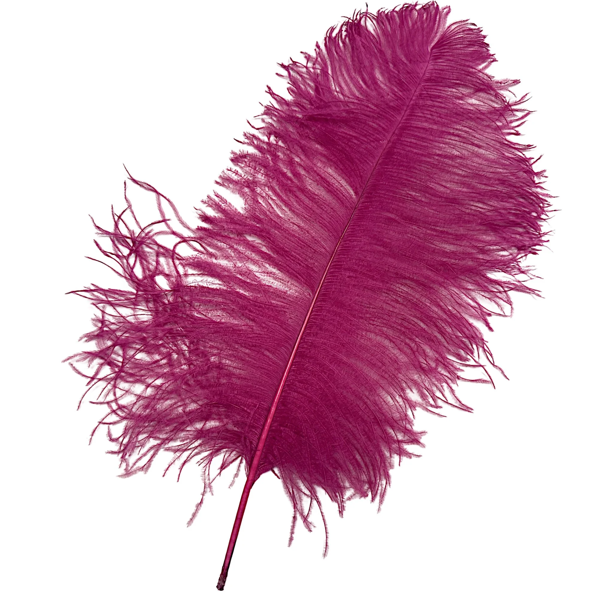 #1 Grade 18-24" Ostrich Wing Plume Feathers - Magenta