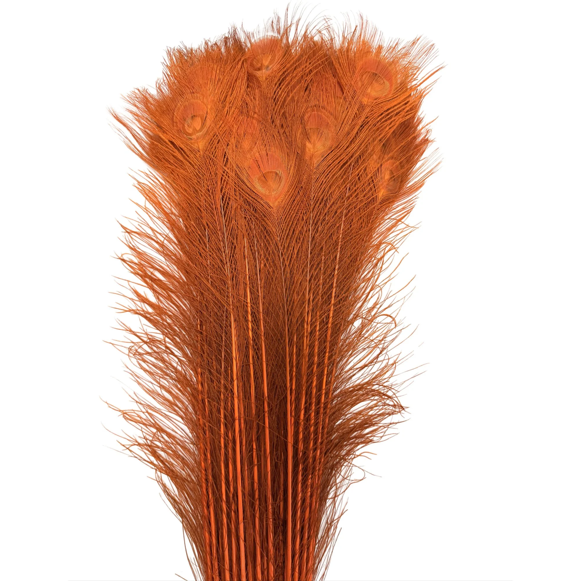 PC35borangeb.jpg