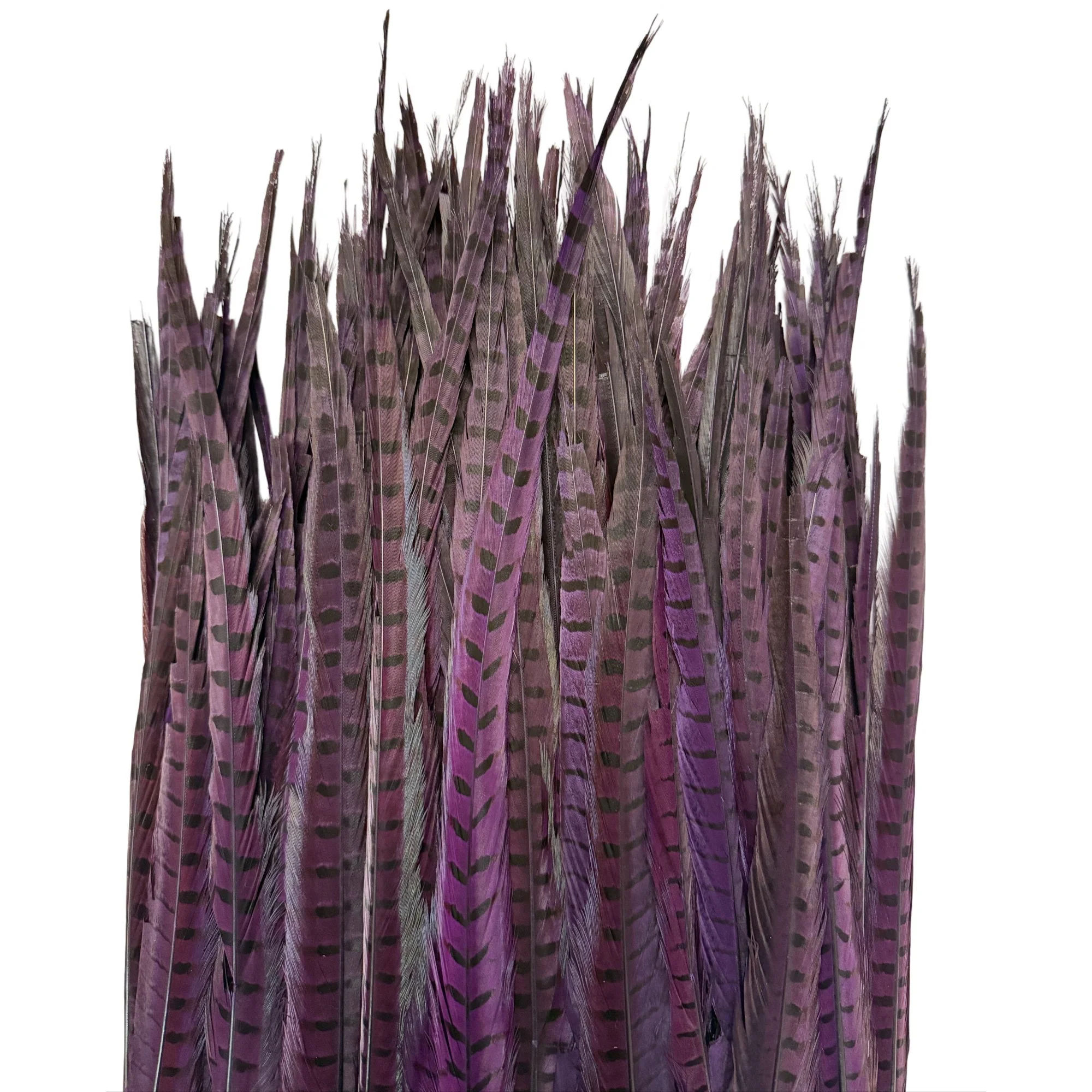 Ring2purplec.jpg